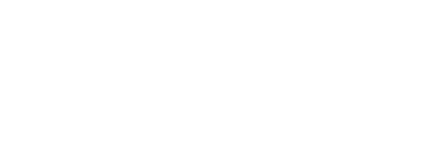Westward Vibes logo